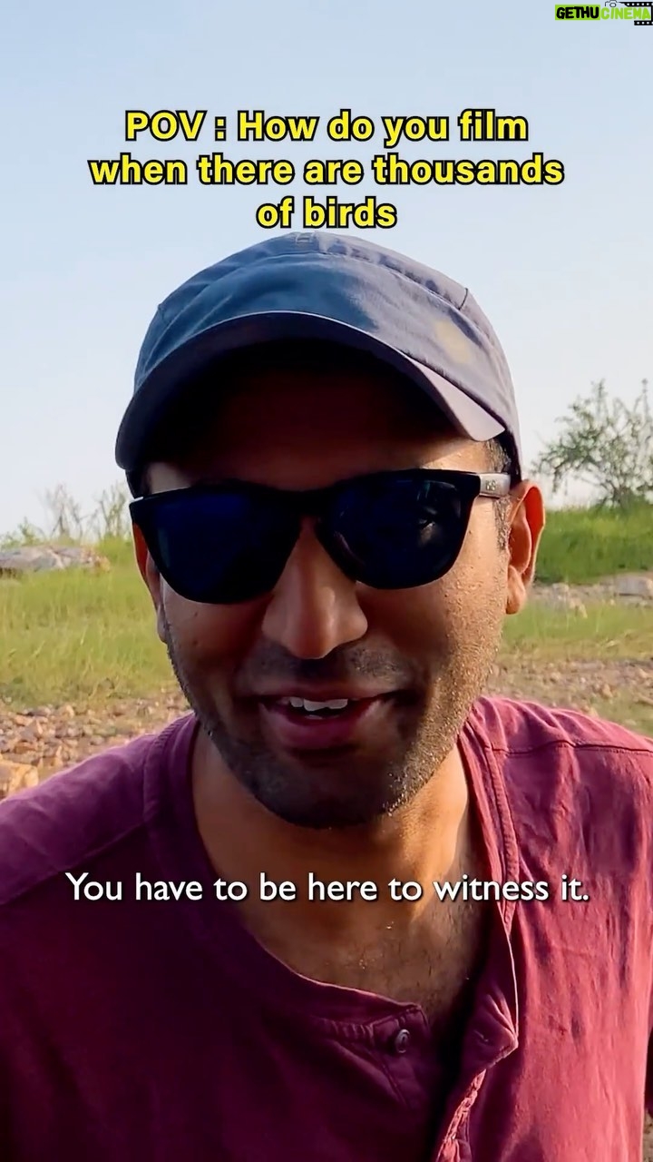 Amoghavarsha - 3.8K Likes - how to film when there are thousands of birds?!