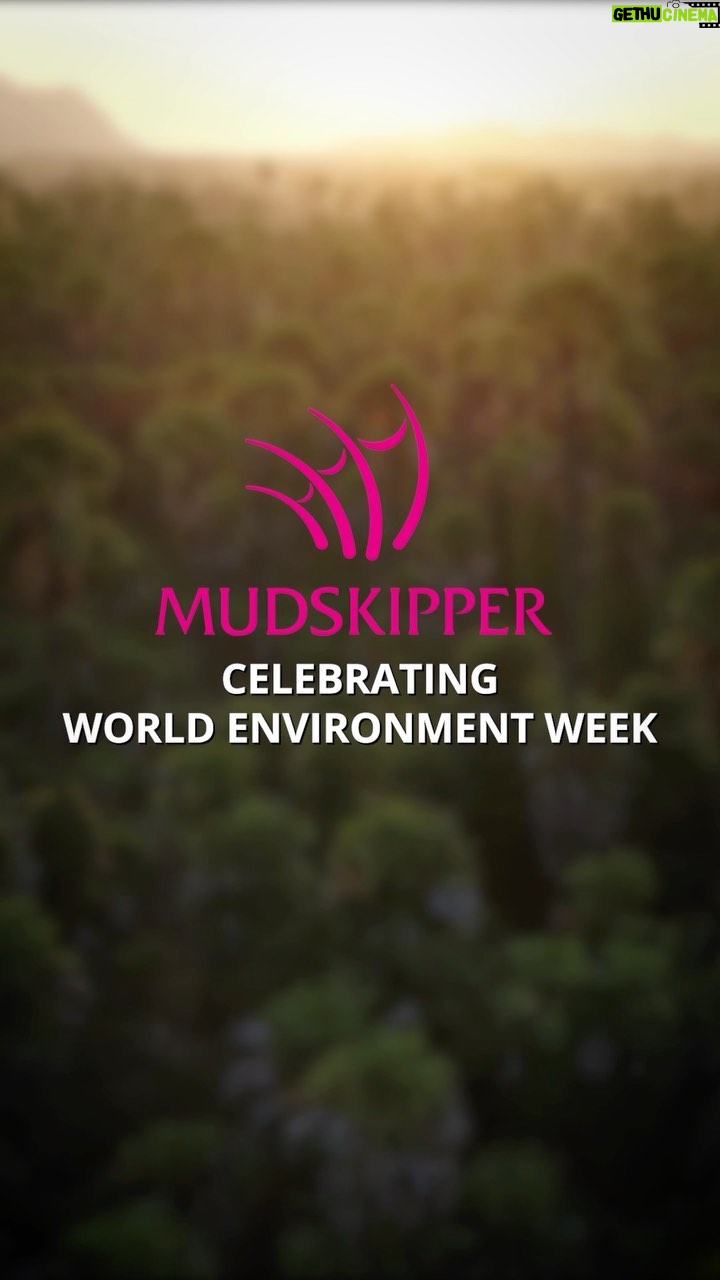Amoghavarsha Instagram - Each day environment day!