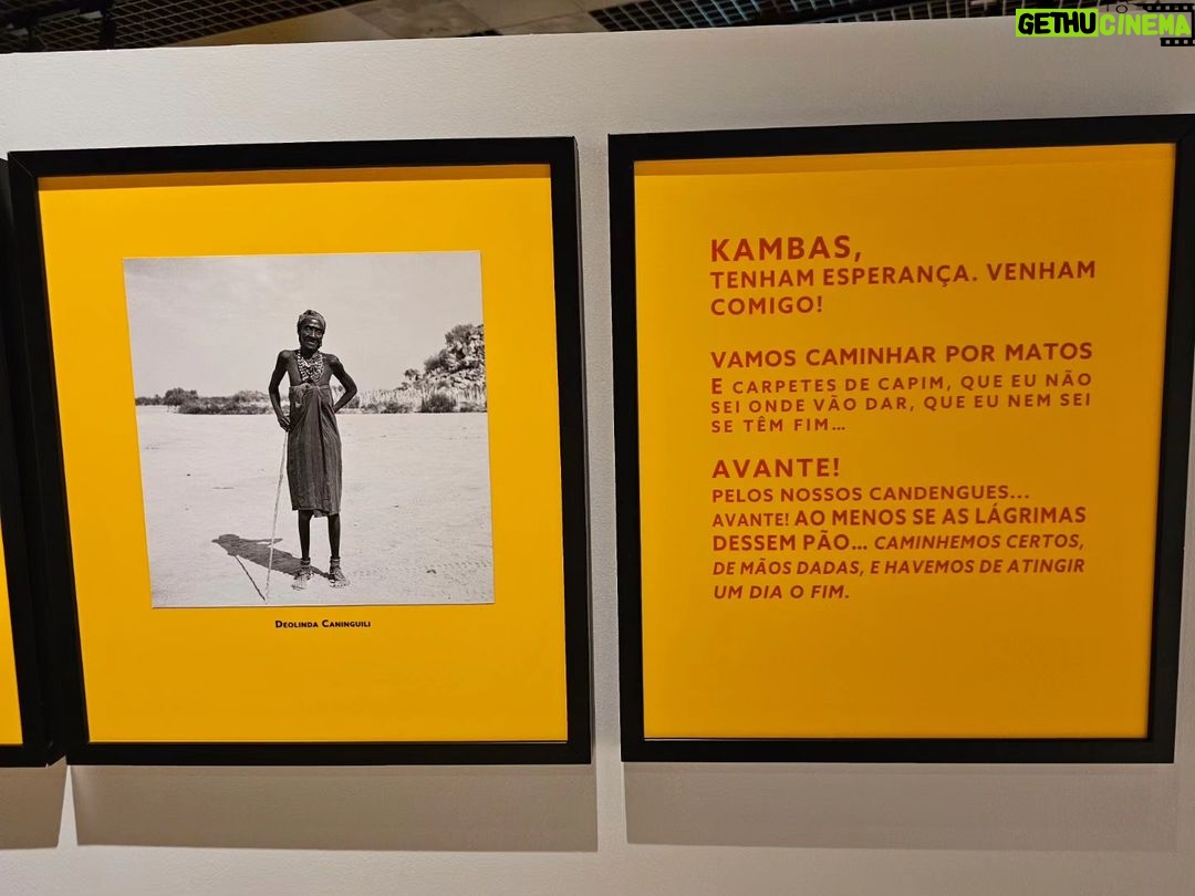Ana Sofia Martins Instagram - O Impulso Fotográfico: (des)arrumar o arquivo colonial, até 31 de Dezembro de 2023 no @muhnac Entrada livre ao Domingo Foto 10- Edileya Silvério, Rita Cássia Silva, Pituka Nirobe, Ivonete Pereira Tavares (ciclo roda de conversação no feminino: conhecimentos afrocentrados) " (...) As fotografias, filmes e objetos científicos aqui mostrados foram usados pela ciência como tecnologia para visualizar, medir, classificar e arquivar os seus objetos de estudo, num contexto de exploração e extrativismo dos recursos naturais e humanos. Representam práticas de medição dos territórios e dos corpos, parte integrante de um pensamento estatístico do controlo e da vigilância. Permitem, por isso, múltiplas leituras, ao mesmo tempo que levantam inúmeras questões: qual o significado destas coleções no passado, no presente e para as diferentes comunidades? Que marcas deixaram estas imagens enraizadas na sociedade? O que mostrar e como mostrar? Questões sobre o que se vê e o que não se vê, sobre o que não sabemos ver, e o que não nos foi permitido ver." Museu Nacional de História Natural e da Ciência