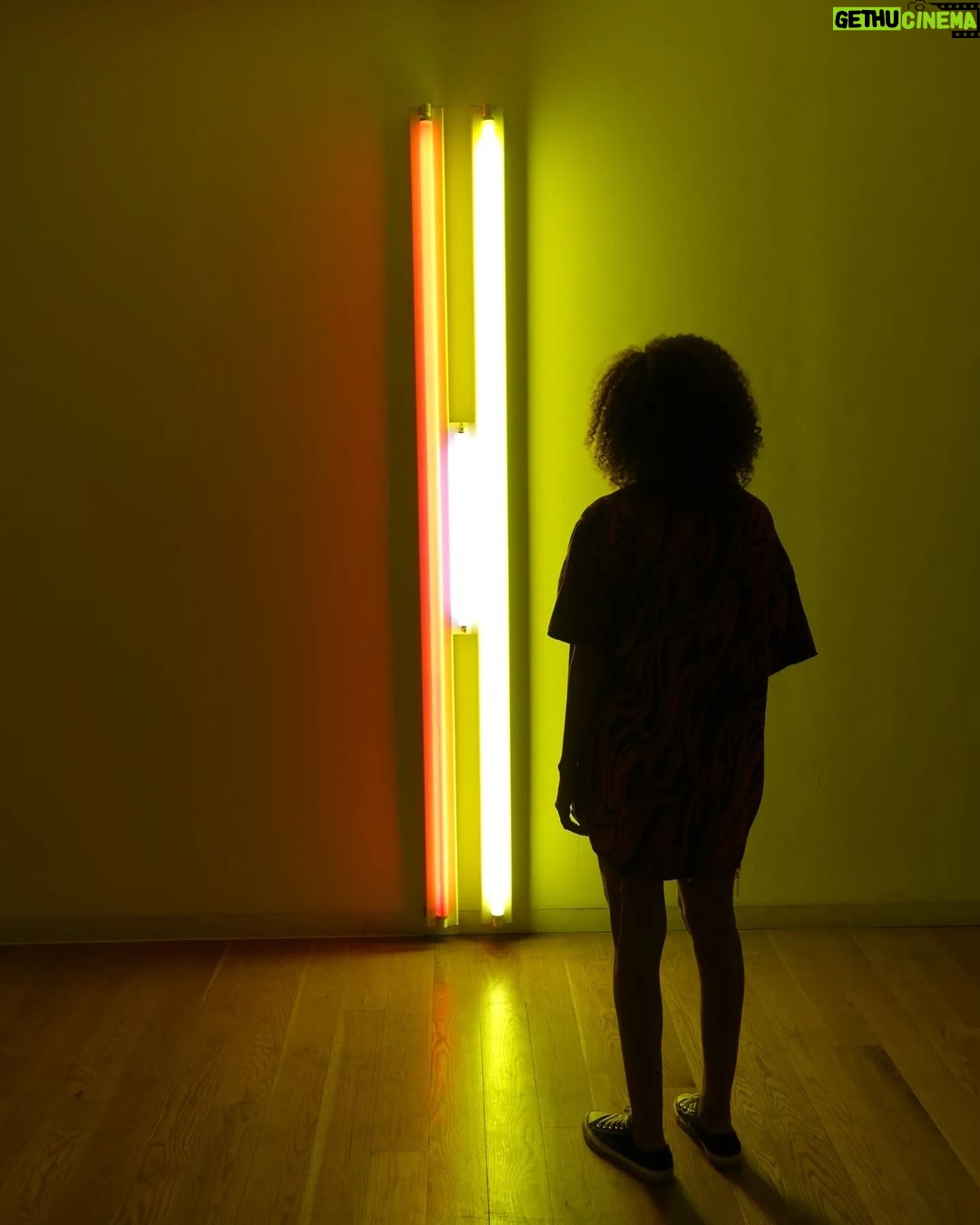 Ana Sofia Martins Instagram - A Norte 🧠Fundação Serralves