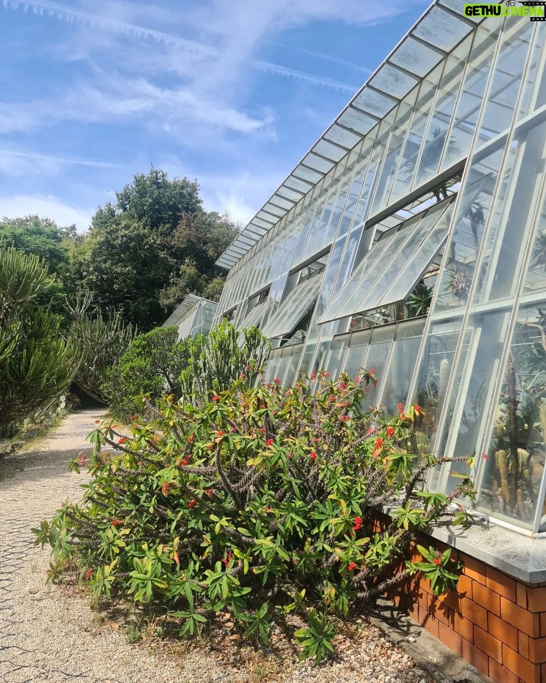 Ana Sofia Martins Instagram - A Norte 🧠Fundação Serralves