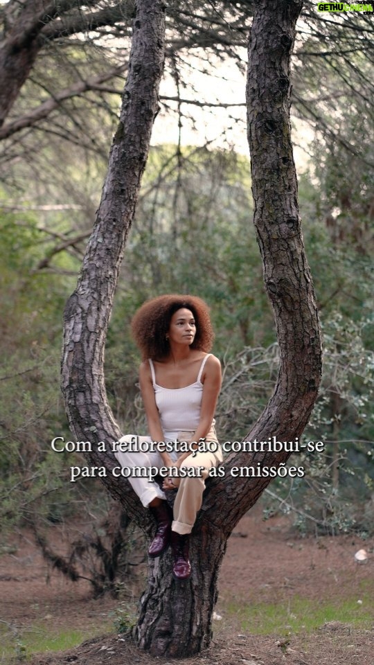Ana Sofia Martins Instagram - As pequenas coisas fazem, de facto, a diferença. E é por isso, que se queremos um planeta mais sustentável, temos de nos empenhar em iniciativas que resultem num impacto positivo no nosso planeta. A Mastercard está a desenvolver o projeto Priceless Planet Coalition que tem como objetivo plantar 100 milhões de árvores até 2025. Vejam o vídeo para descobrir mais sobre o projeto. Se quiserem juntar-se a mim e à Mastercard, podem colaborar aqui: www.mastercard.pt/ppc #Pub #Mastercard #PricelessPlanetCoalition @mastercard.pt