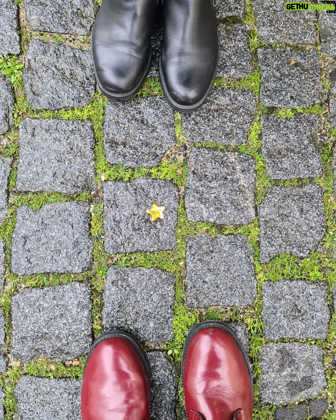 Ana Sofia Martins Instagram - 2023 Part I 👞👟👠(sapatos meus e de personagens)