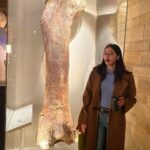 Ananya Panday Instagram - warmmmm n fuzzzzyyyyy 🐻 (giant sloths may be the coolest animals that existed ✌🏼) London