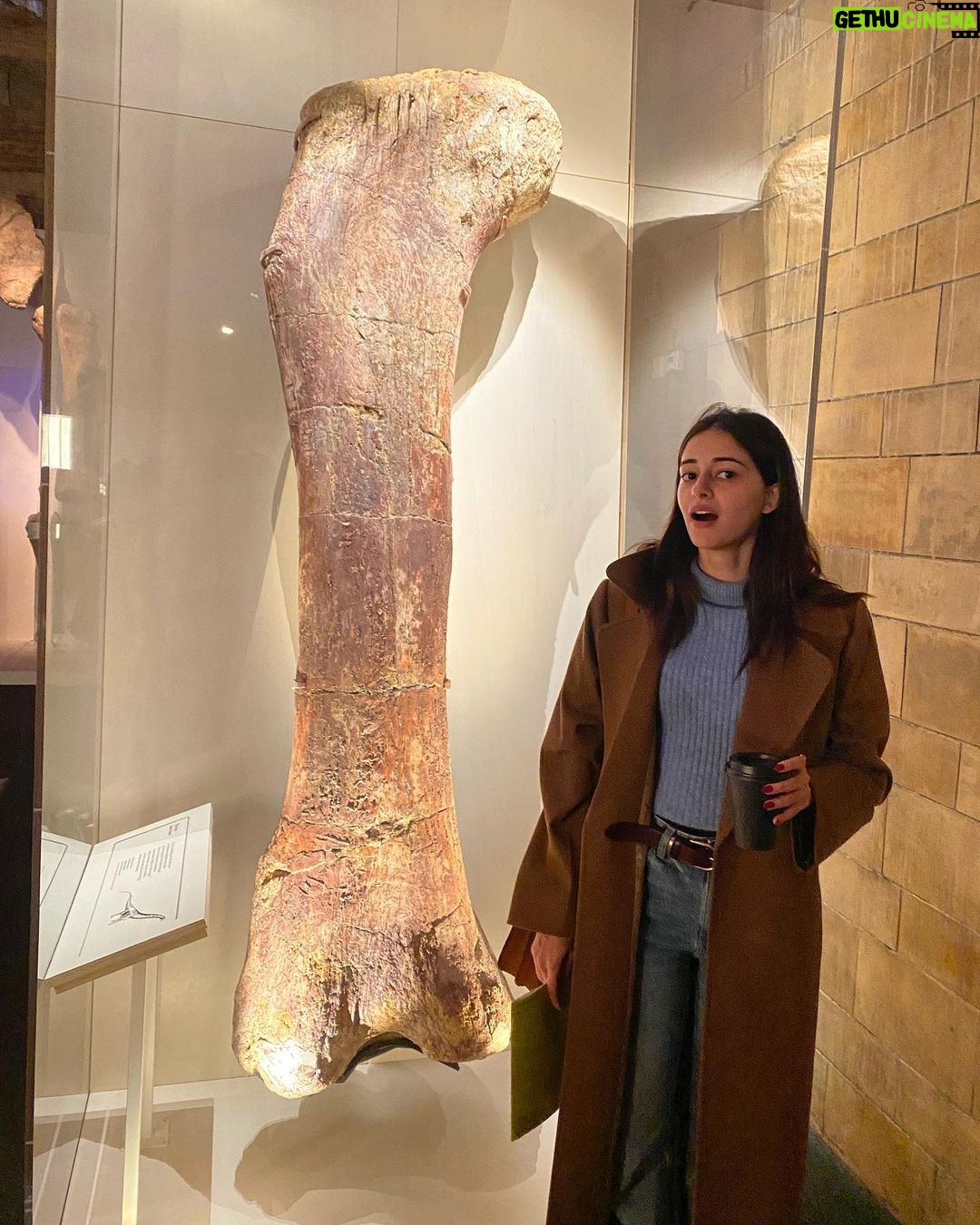 Ananya Panday Instagram - warmmmm n fuzzzzyyyyy 🐻 (giant sloths may be the coolest animals that existed ✌🏼) London