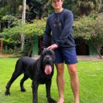 André Marinho Instagram - 🐺🖤👅🏆 Cronus @tcane_corso