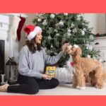 Andrea McLean Instagram - #AD I know how much joy having a pet brings into the home – since adopting Teddy from Battersea four years ago, he’s not just a dog, he is part of our family. But at Christmas things can become a bit chaotic with lots of people around and our furry friends finding it stressful - I know that Teddy does! That’s why I’ve teamed up with @pedigree_uk_official and @battersea on the Pedigree Relief Fund to help you have a stress-free holiday. There’s a couple of way we can help our little friends like: 😴Creating a quiet and safe space for them to escape visitors 🍗Being careful of harmful leftovers. Onions, garlic, dried fruit and leeks are all toxic to dogs 🍫Keeping chocolate out of reach – keep advent calendars & selection tins up high/in cupboards and be mindful of hanging choc decorations or choc gifts under the tree 🌿If you have plants like poinsettia, mistletoe, Ivy or Holly watch that they don’t get eaten or chewed because they can give dogs a bad belly 🎄Make sure decorations are properly secured and out of reach. Avoid leaving your pet in a room with lots of decorations when you are not at home What do you find most stressful? There’s plenty of other tips and tricks to help keep the stress away, so check out the Battersea website for more info. Have a very Merry Christmas!🎄 #PedigreeReliefFund #Battersea