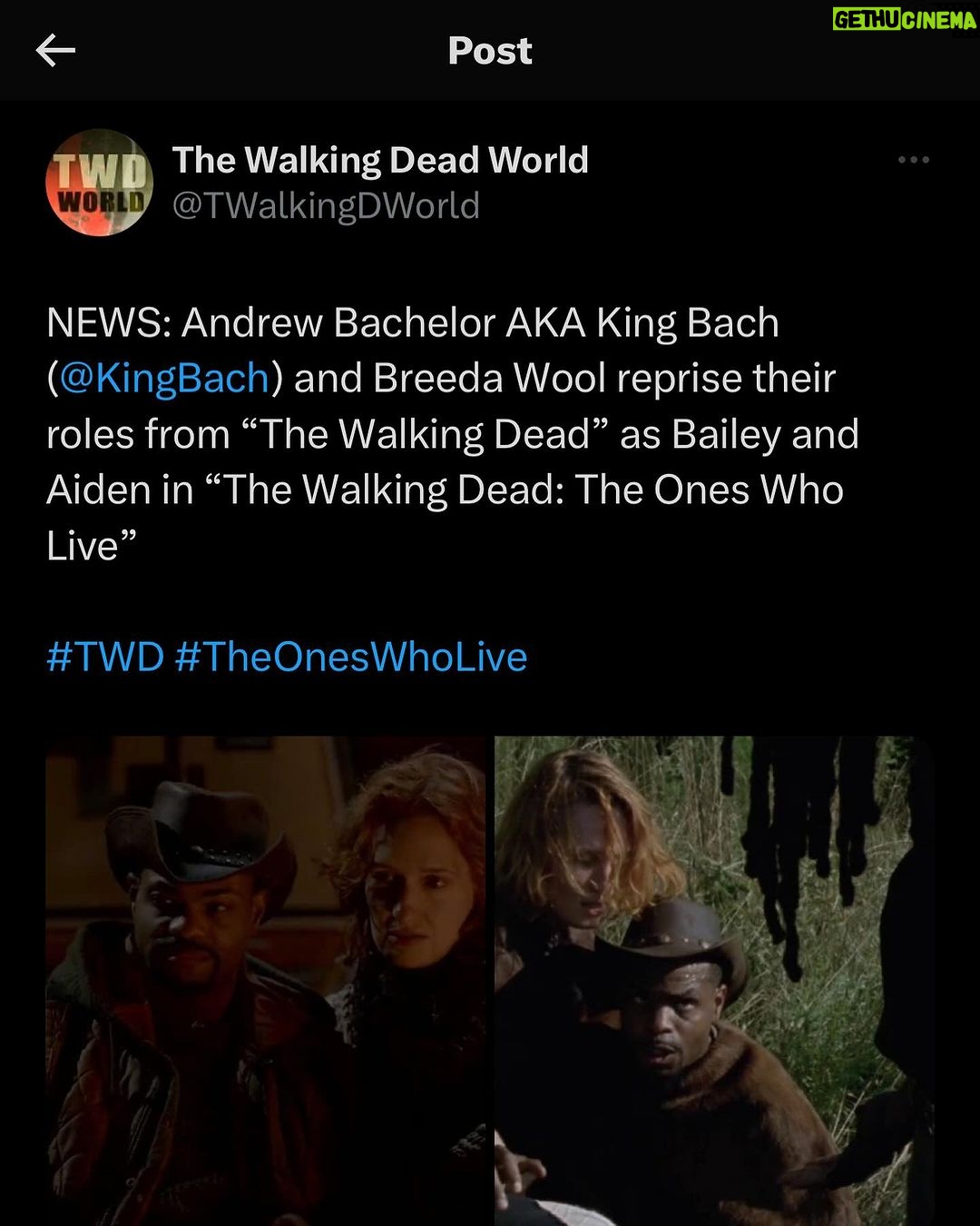 Andrew Bachelor Instagram - @thewalkingdead ❤️❤️❤️
