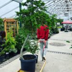 Andrew Neighbors Instagram - I spend so much of my money on trees and plants. Seattle, Washington