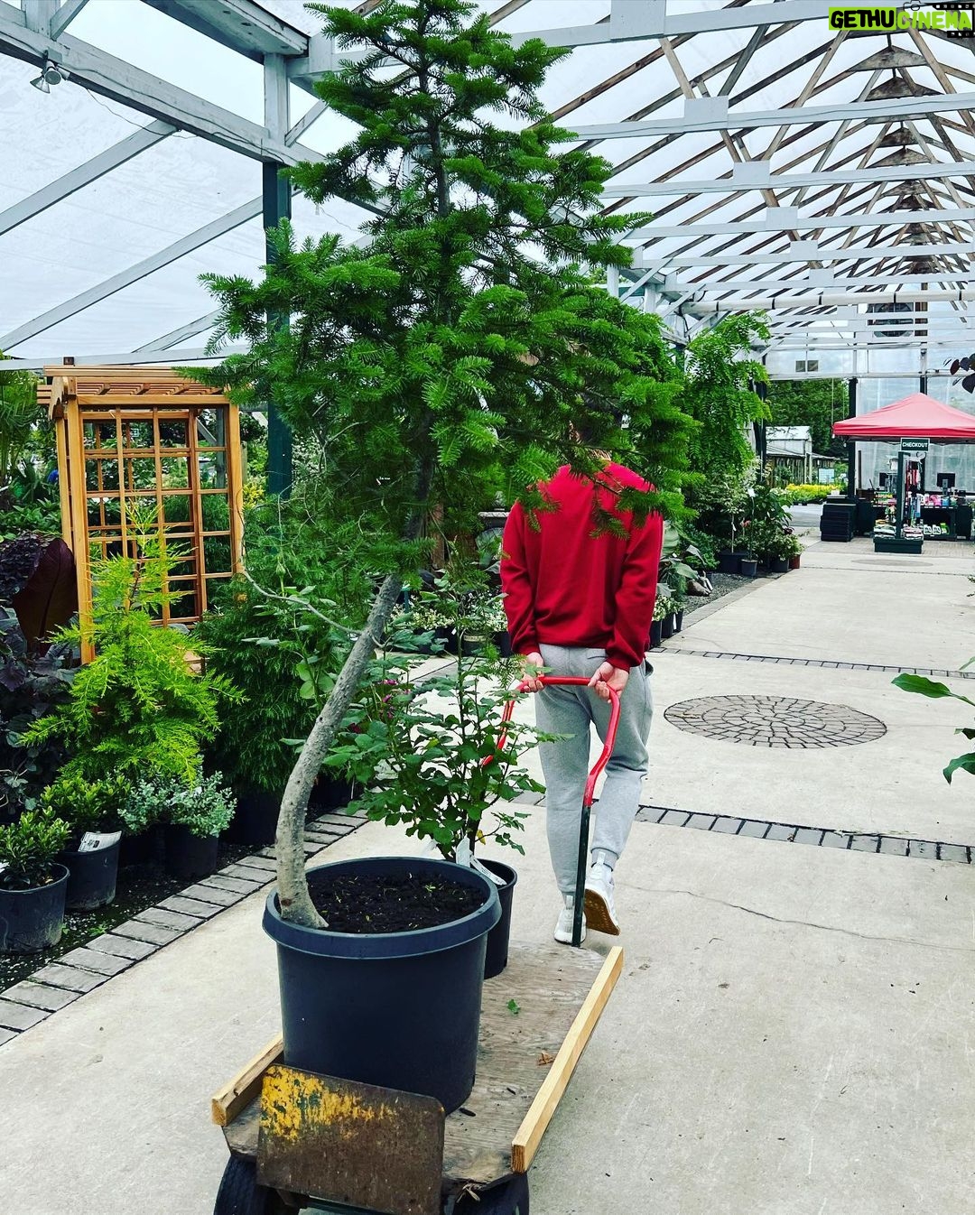 Andrew Neighbors Instagram - I spend so much of my money on trees and plants. Seattle, Washington