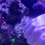 Andrew Neighbors Instagram - Bout to make some sashimi if they keep biting me like this