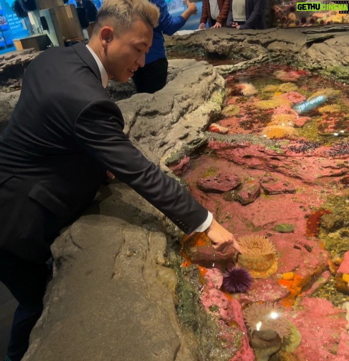 Andrew Neighbors Instagram - Lol 2 for 1 special. Awesome idea to have a wedding at the aquarium! Seattle Aquarium