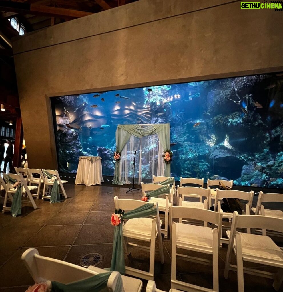 Andrew Neighbors Instagram - Lol 2 for 1 special. Awesome idea to have a wedding at the aquarium! Seattle Aquarium