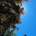 Andrew Neighbors Instagram – Lunch break sunshine West Seattle