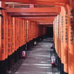 Andrey Polyanin Instagram - Kyoto, Japan