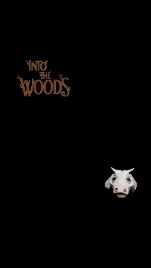 Andy Karl Instagram - When did I miss this revival of @intothewoodsbroadway ? #curtaincallchallenge