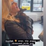 Andy Karl Instagram - When your ♈️ twin @sssourabh makes a few quick clips 🎥 you immediately make a reel out of them 🎥😂 Please enjoy an #fbf to our favorite ♏️ @prettyconnected’s birthday party/book launch/adoption event featuring a couple of incredible rescue pups, including star of the pawty, @pompomcharlie 🐶 💖😂 Check out that amazing 🎂 and of course @natalienegrotti’s new fur baby, Papi💖🥰 Omigodyouguys 🤪‼️‼️Thank you for hosting us, @animalhaven @tiffanylacey218 🥰🥰 . . . #adoptdontshop #scorpioseason #nyc #animalhaven #soho #birthday #booklaunch #charlieatthepomspringshotel #tagyourselfifimissedyou