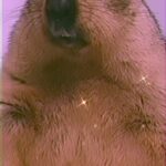 Andy Karl Instagram - For reels it’s International Wash A Groundhog Day! Keep it Fresh & Clean. Ready for a 2 show Day. 🚿 🧼 🔁 @oldvictheatre @ghdmusical