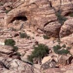 Ange Loosa Instagram - 🥷🏿 🏜 Red Rock Canyon Las Vegas