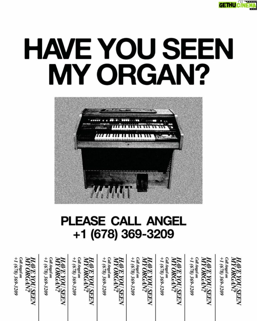 Angel Olsen Instagram - Have You Seen My Organ? Please call.