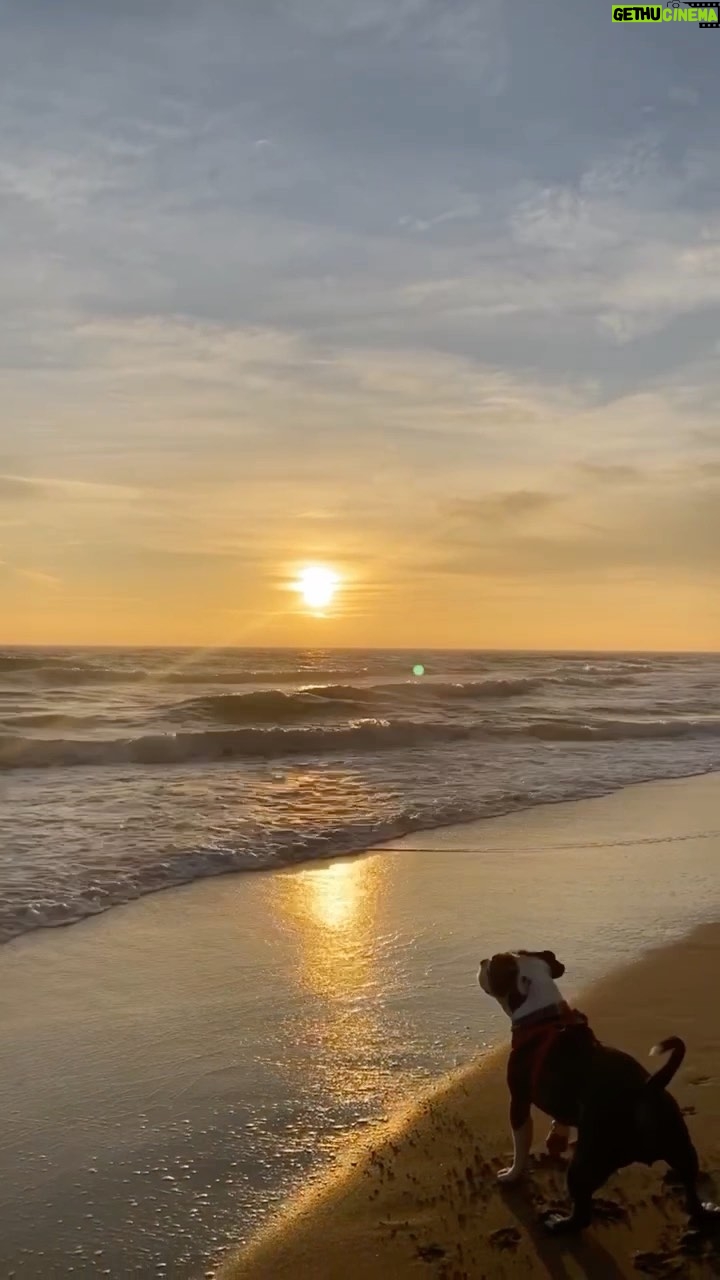 Angie Scarth-Johnson Instagram - I had to do one of these!π There is so much that I am grateful for this year. π« all the very memorable experiences and all the amazing people Iβve met !! πThe failures and success through this year has lead me to where I am now, to being happy ! Thankyou all for the memories and Thank you to my supporters for this incredible incredible year of opportunity. And more then anything, thankyou so much mum and dad.π @redbullau @climbing_anchors @thenorthface_aunz @tenayaclimbing @camp1889 @mytendon @cvok9c @climbersagainstcancerofficial @climbskinspain @frictionlabs #neverstopexploring #tenayaclimbing #climbinginspain #womanclimbers #climbskin #chalkupless #newstandardinchalk #climbinganchors #tenayaathlete