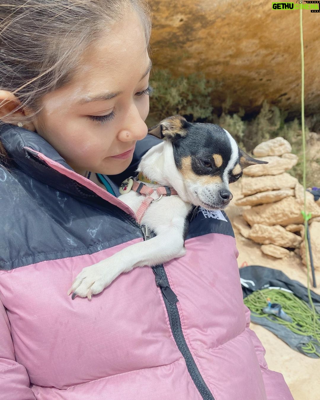 Angie Scarth-Johnson Instagram - My jacket 🧥 has always meant so much to my daily activity. It’s the reason I could stay outside on that winters day to try my project, it’s the last thing I take off and the first thing I put on after a climb and really , it’s just ᴍᴏʀᴇ ᴛʜᴇɴ ᴀ ᴊᴀᴄᴋᴇᴛ You’ll always remember the first jacket You get from @thenorthface_aunz, I know I do, and I also remember when I got my little nephew his first Jacket to create his own memories in. Mine was black with a little pink zipper, it completely changed my idea of the power of quality, durability and real warmth when you can’t escape the cold. When you think about it, it changes your life. My jacket has held countless little animals and countless memories. Not to mention the amount of times it’s saved my butt from the cold rocks at the crag. Who else does that 🙋🏻♀️ #morethenajacket @redbullau @climbing_anchors @thenorthface_aunz @tenayaclimbing @camp1889 @mytendon @cvok9c @climbersagainstcancerofficial @climbskinspain @frictionlabs #neverstopexploring #tenayaclimbing #climbinginspain #womanclimbers #climbskin #chalkupless #newstandardinchalk #climbinganchors #tenayaathlete