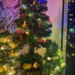 Anindita Bose Instagram - A very merry to you from ours to yours 🎅🏽 🎄 . . . . . . . . #merrychristmas #merrychristmas🎄 #reelsinstagram #instagram #instagood #instalike #festive