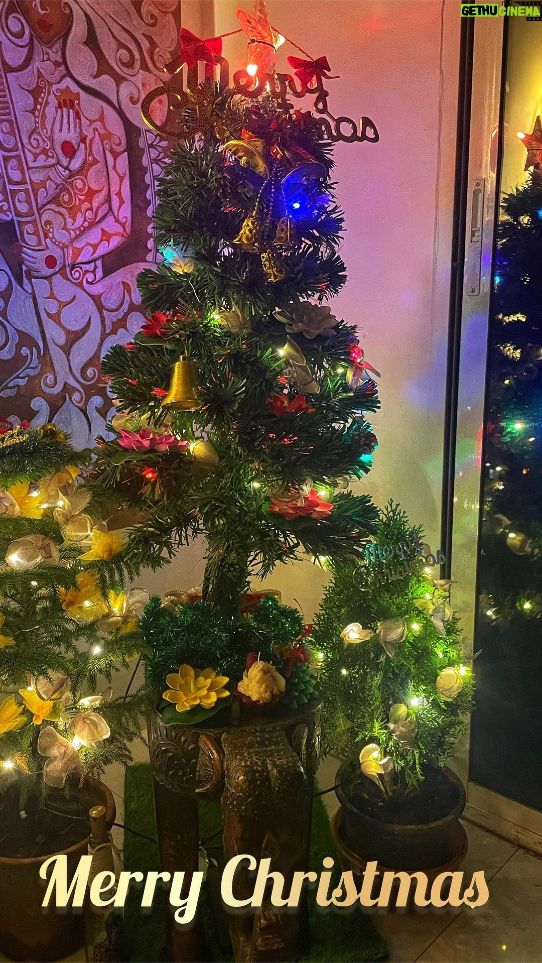 Anindita Bose Instagram - A very merry to you from ours to yours 🎅🏽 🎄 . . . . . . . . #merrychristmas #merrychristmas🎄 #reelsinstagram #instagram #instagood #instalike #festive