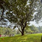 Anindita Bose Instagram - Sundaying 🌞 . . . . . . . . . . #sunday #sundaypicnic #picnic #park #instagram #instagood #insta #instadaily #sunshine Pushpa Narsee Park