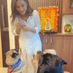Anindita Bose Instagram – गणपति बप्पा मोरया ✨

May you find new beginnings, endless happiness & joy in the little things, just like my doggos do after seeing a packet of hide n seek. 🥹
.
.
.
.
.
.
.
.
.
.
#instagood #instagram #insta #ganpatibappamorya #petmom #dogsofinstagram