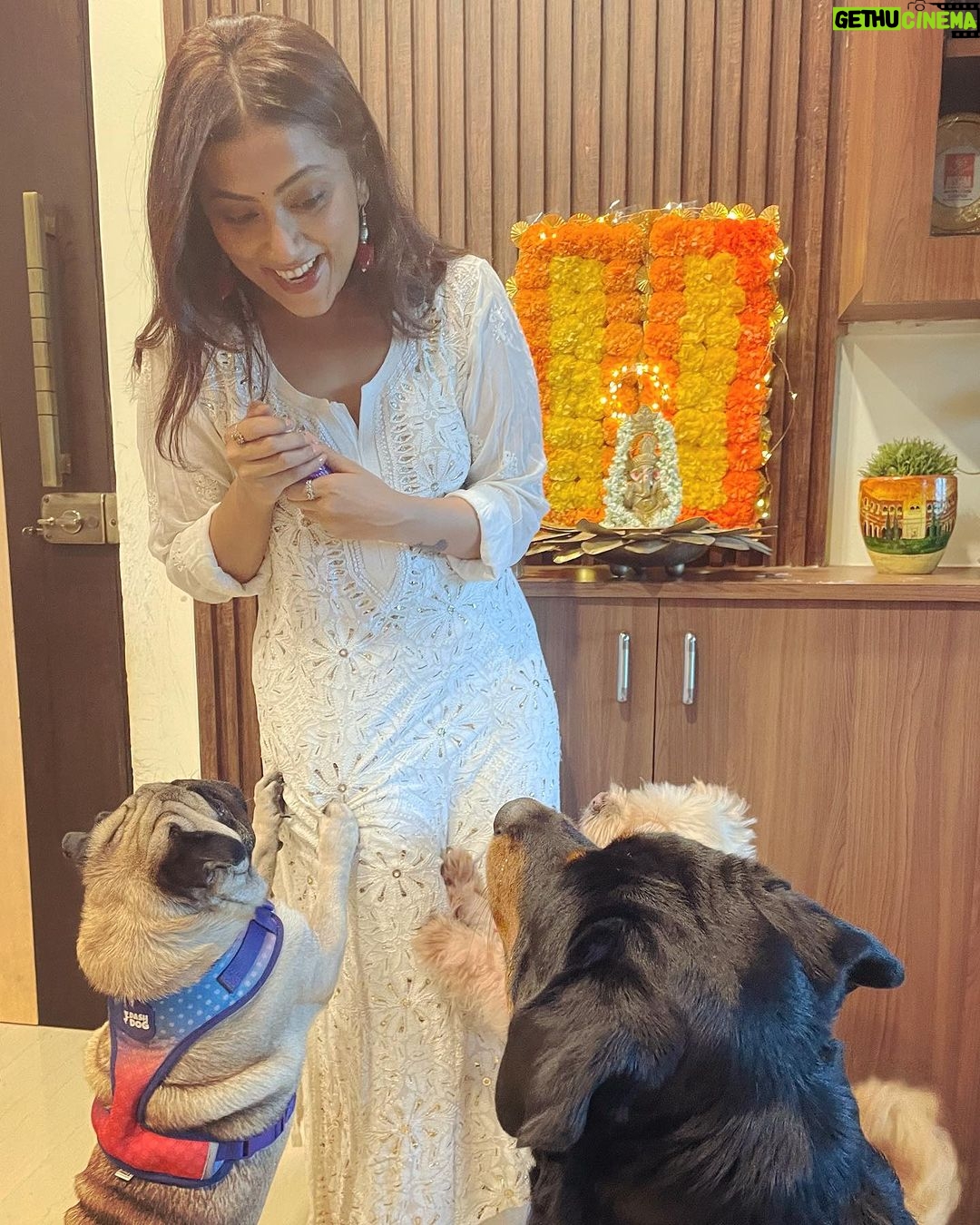Anindita Bose - 4.6K Likes - गणपति बप्पा मोरया ✨
May you find new beginnings, endless happiness & joy in the little things, just like my doggos do after seeing a packet of hide n seek. 🥹
.
.
.
.
.
.
.
.
.
.
#instagood #instagram #insta #ganpatibappamorya #petmom #dogsofinstagram