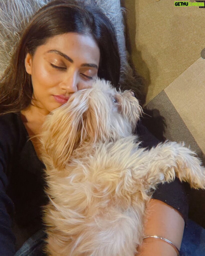 Anindita Bose Instagram - #happychildrensday my babies… mommy loves you… ❤️ . . . . . . . . #petmom #puppylove #dogsofinstagram #love #instagram #insta