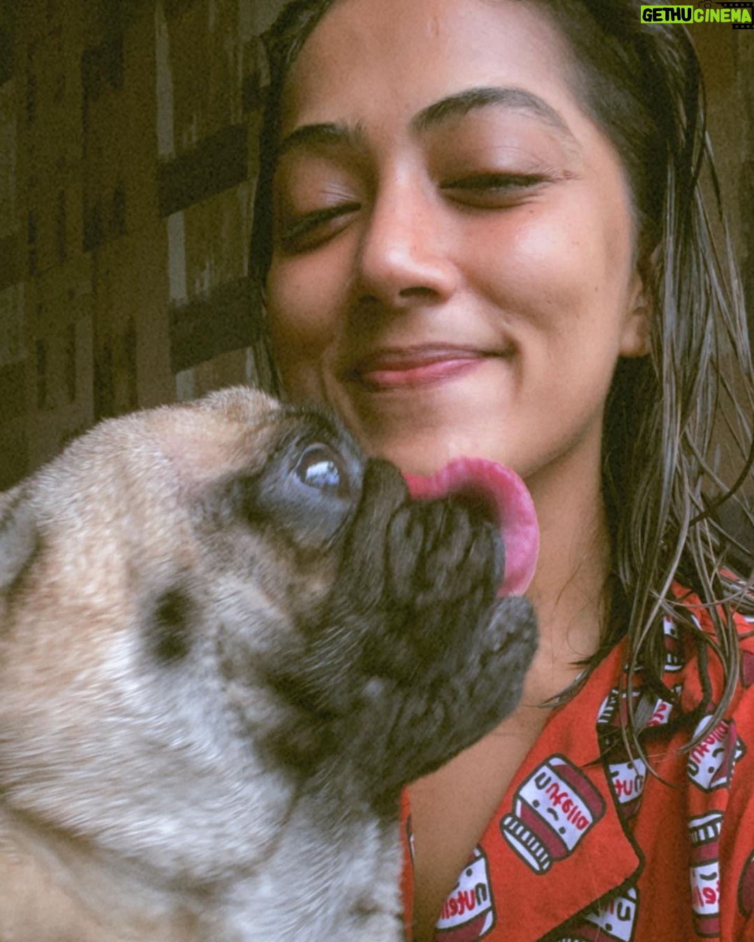 Anindita Bose - 4.5K Likes - #happychildrensday my babies… mommy loves you… ❤️
.
.
.
.
.
.
.
.
#petmom #puppylove #dogsofinstagram #love #instagram #insta