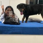 Anindita Bose Instagram - #happychildrensday my babies… mommy loves you… ❤️ . . . . . . . . #petmom #puppylove #dogsofinstagram #love #instagram #insta