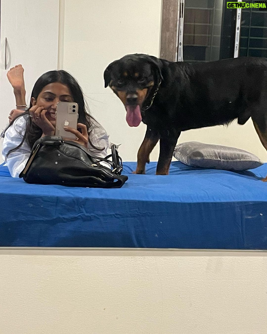 Anindita Bose - 4.5K Likes - #happychildrensday my babies… mommy loves you… ❤️
.
.
.
.
.
.
.
.
#petmom #puppylove #dogsofinstagram #love #instagram #insta
