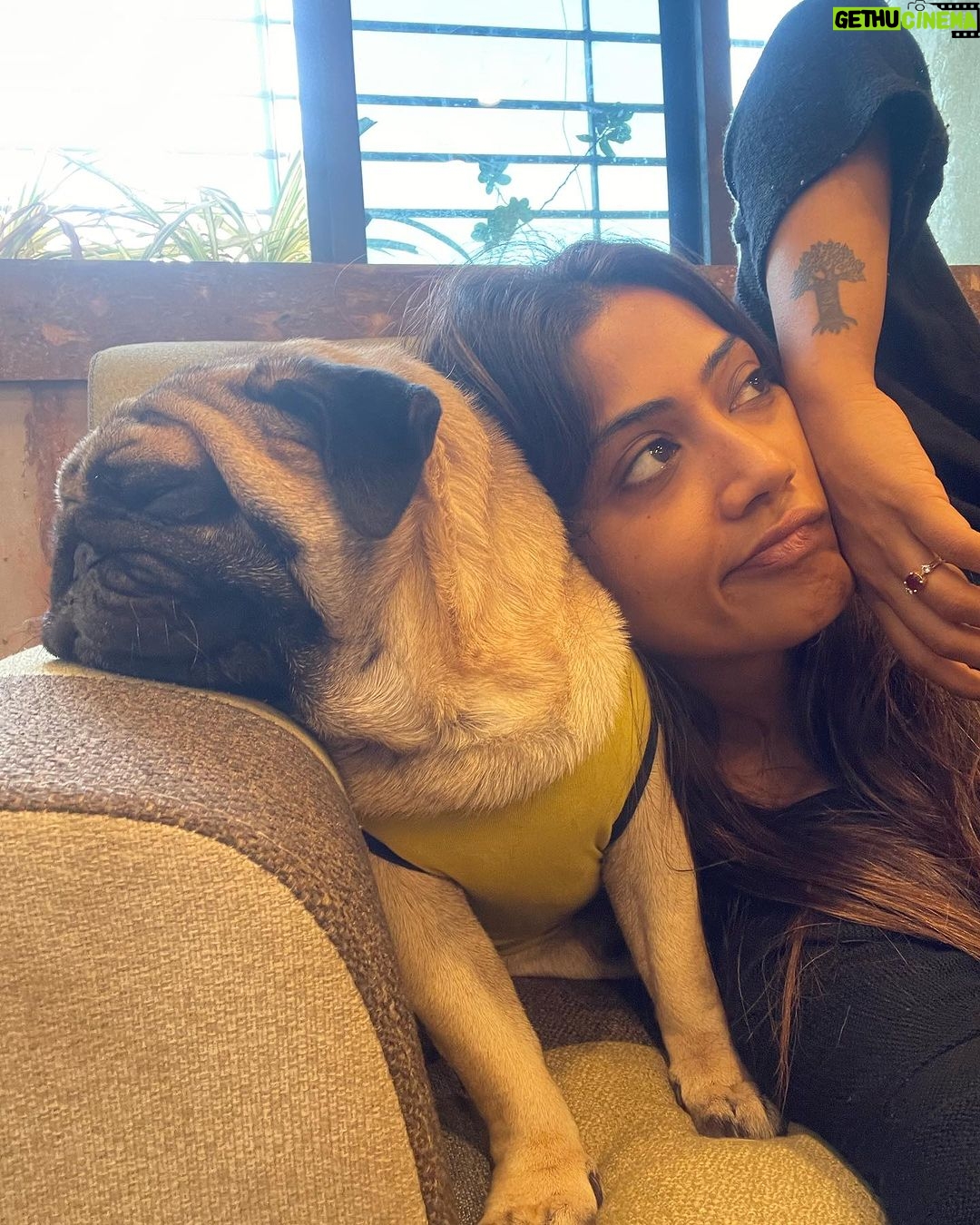 Anindita Bose - 4.5K Likes - #happychildrensday my babies… mommy loves you… ❤️
.
.
.
.
.
.
.
.
#petmom #puppylove #dogsofinstagram #love #instagram #insta