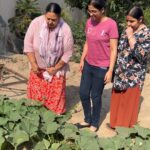 Anita Devgan Instagram - Ess vari kitchen garden da inj kiti inauguration😘