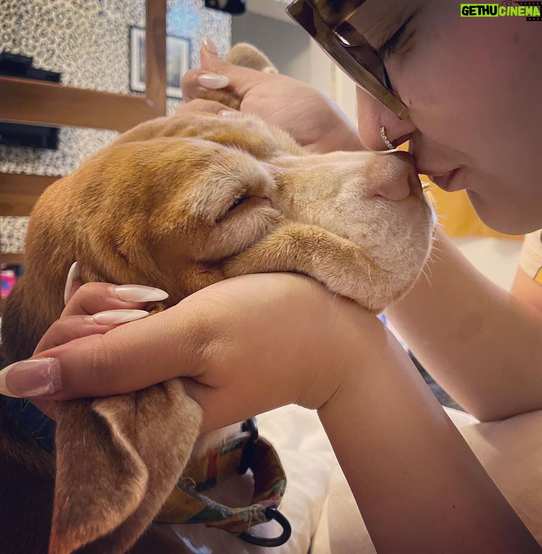 Anjali Anand Instagram - … with Dobby, it’s always Phagun ke mausam 🌻