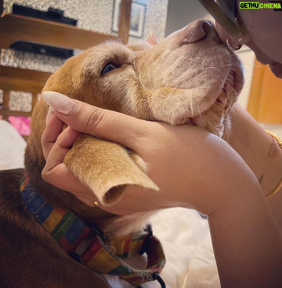 Anjali Anand Instagram - … with Dobby, it’s always Phagun ke mausam 🌻