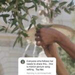 Anjulie Persaud Instagram - Thank you for the love on this one 🫶🏾 Here’s the second verse. #independentartist #independentwoman #childlessmillennialsofdisney #millenial #genz #society #babyfever #single #unmarried