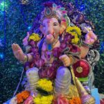 Anmol Jyotir Instagram - I wish Bappa visits your home with bags full of happiness, prosperity, and peace ❤️ #ganpatibappamorya #pudchyavarshilavkarya #happyganeshchaturthi