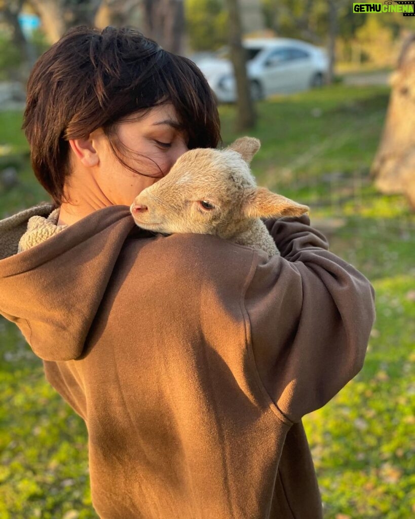 Anna Eremin Instagram - Tenho um bebé nos braços 🐑🌱 #arussanocampo