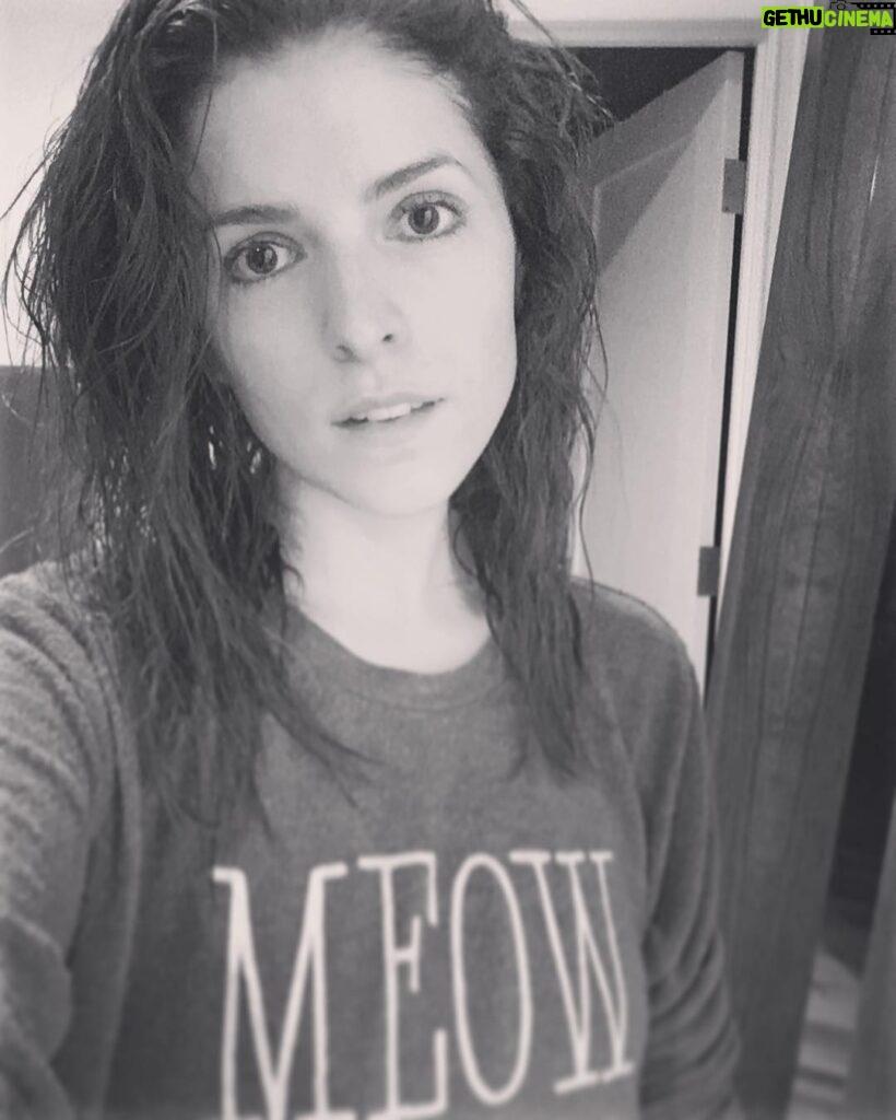 Anna Kendrick Instagram - meow 🐱🛀🏻