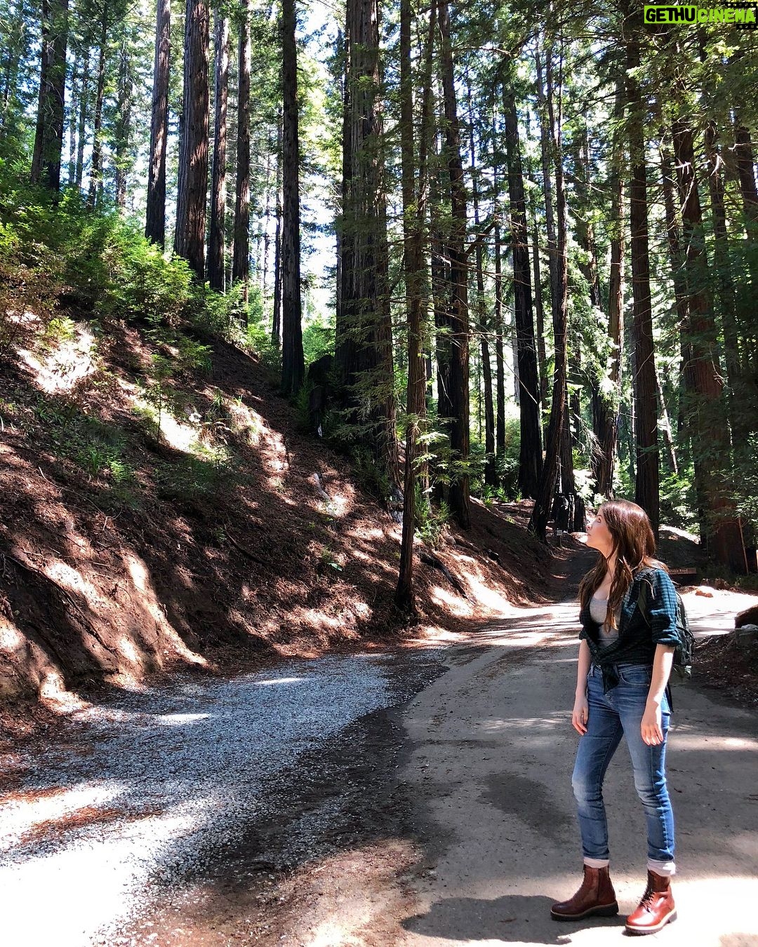 Anna Kendrick Instagram - π²ππΈM A G I C πΈππ² VENTANA ππππππππππππππ @ventanabigsur Alila Ventana Big Sur
