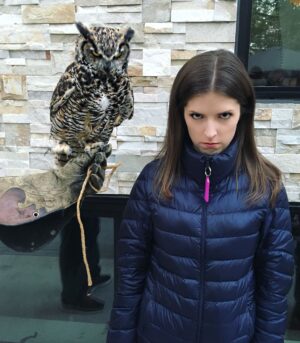 Anna Kendrick Instagram - We don't like you.