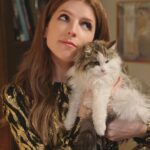 Anna Kendrick Instagram - couple a fuckin’ strays