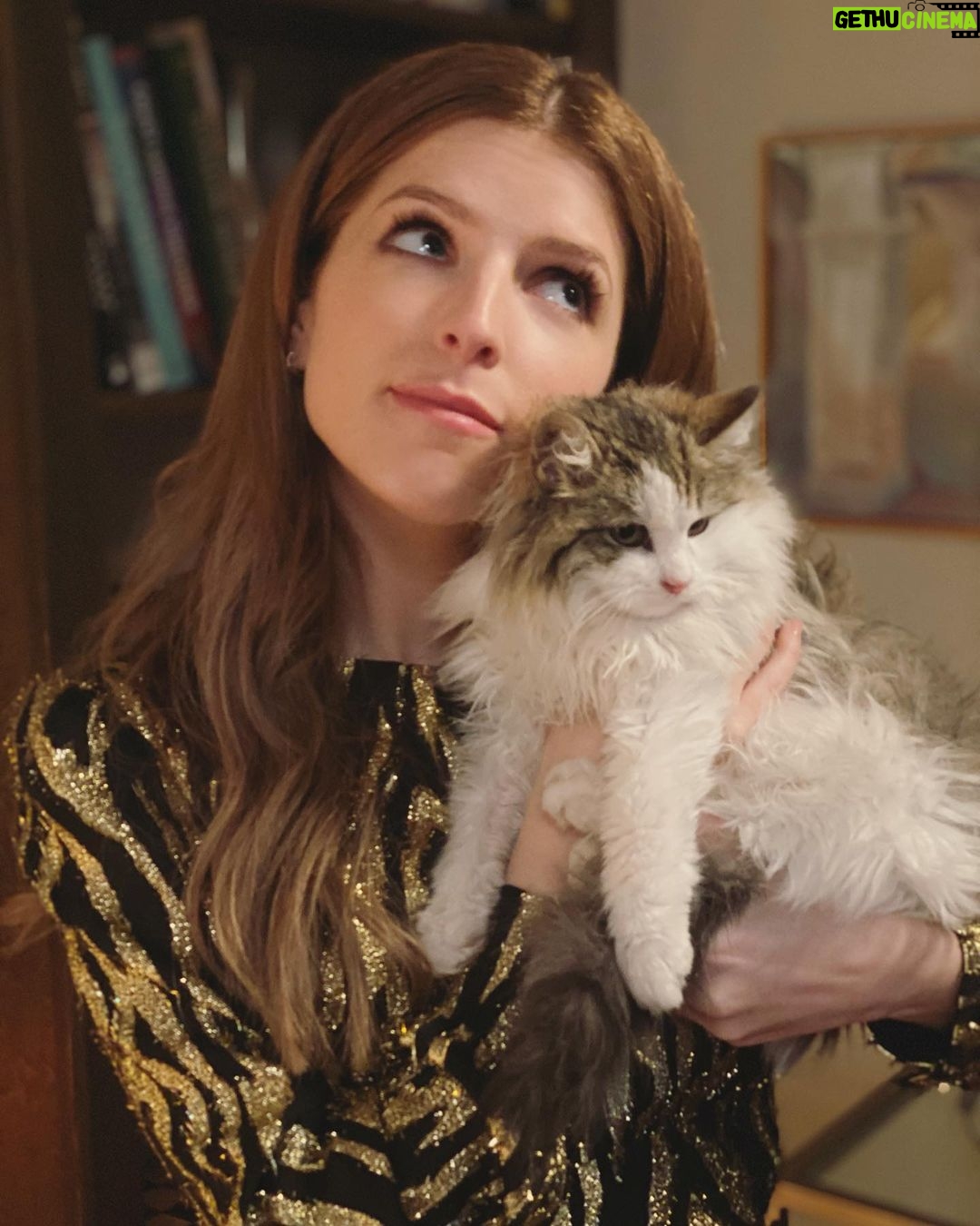 Anna Kendrick Instagram - couple a fuckin’ strays