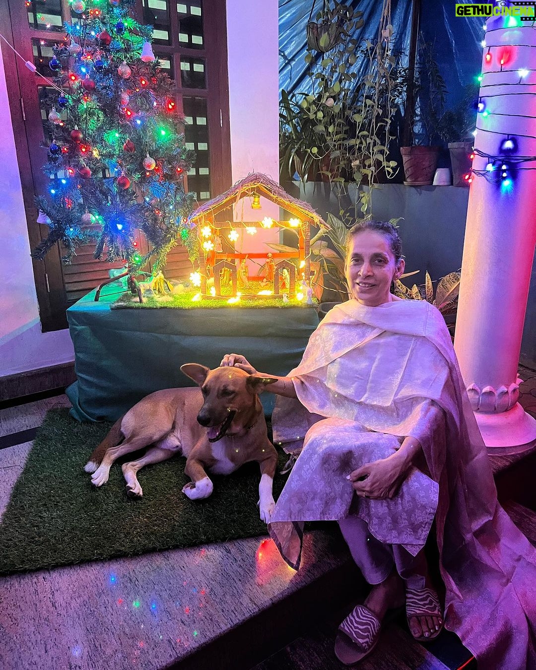 Anna Rajan Instagram - Happy Christmas to all