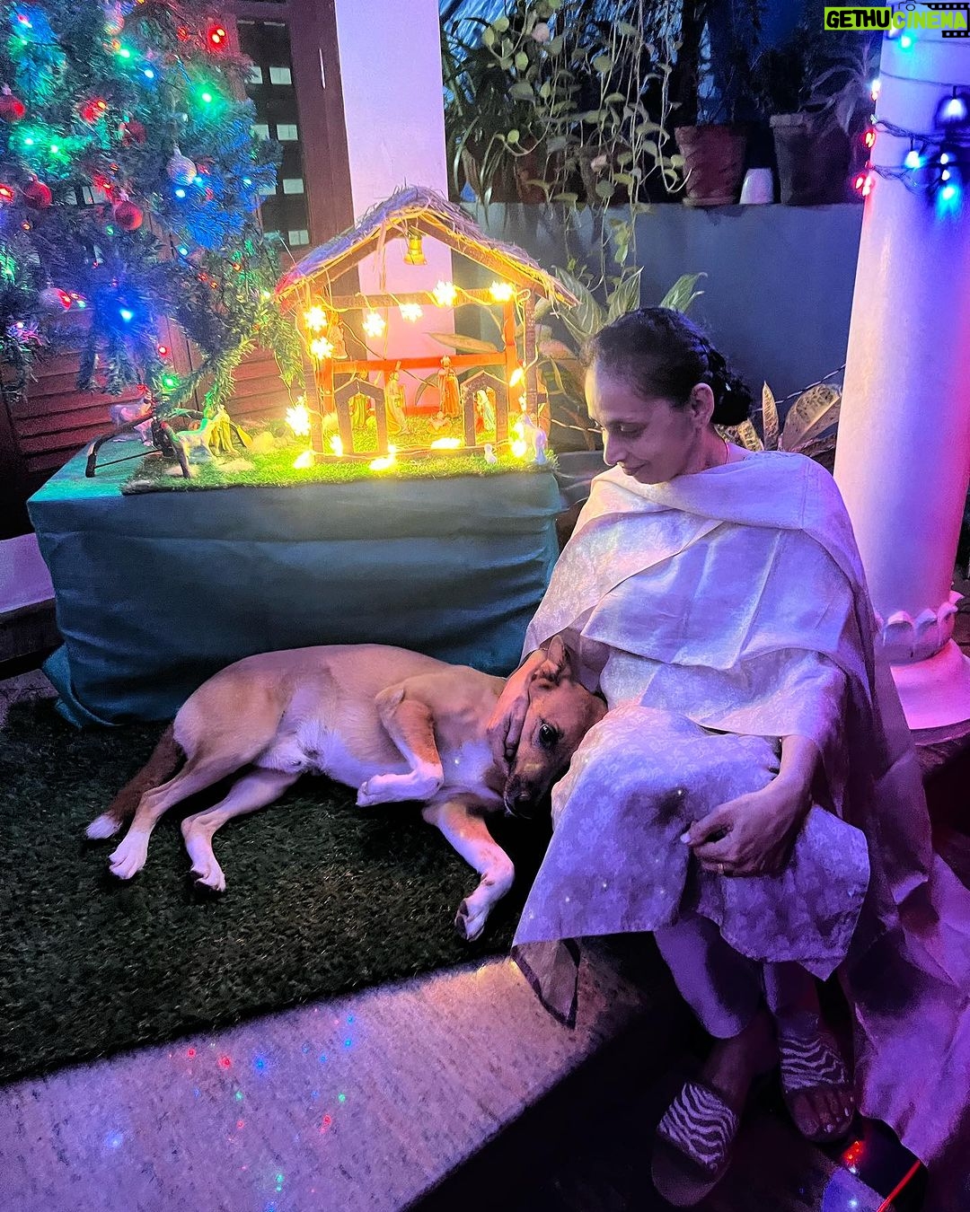Anna Rajan Instagram - Happy Christmas to all