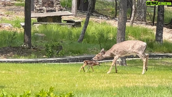 Anna Wood Instagram - Sunrise, sunset. Meet baby McRae, born this morning in our yard. 🥰